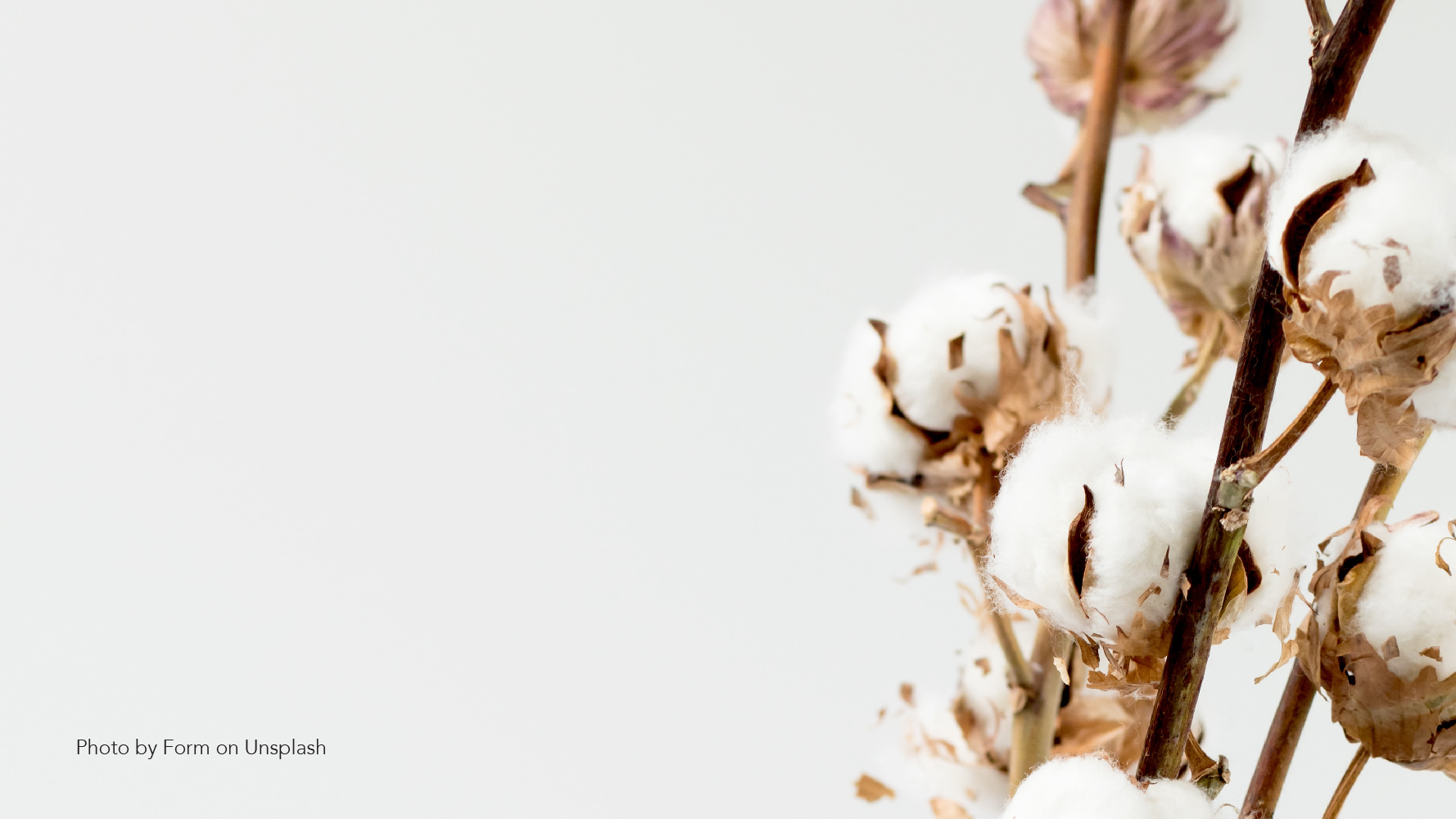 Is Cotton A Better Option To Replace Plastic Bags