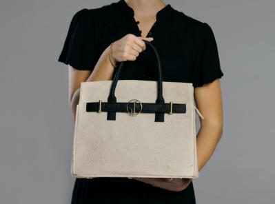 Revealing the Truth behind the Mythical Connection between A Woman and Her Handbag