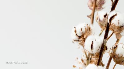 Is Cotton A Better Option To Replace Plastic Bags